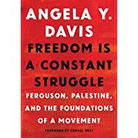 Freedom Is A Constant Struggle: Ferguson- Palestine- and the Foundations of a Movement